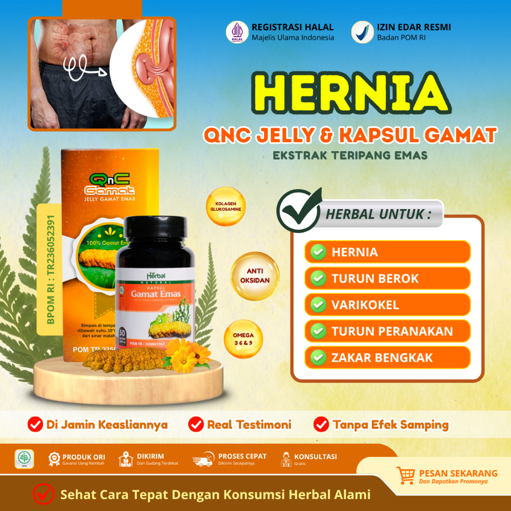 Obat Hernia Turun Berok - Obat Benjolan Usus Turun - Obat Herbal Hernia Turun Berok Bayi Anak Dewasa