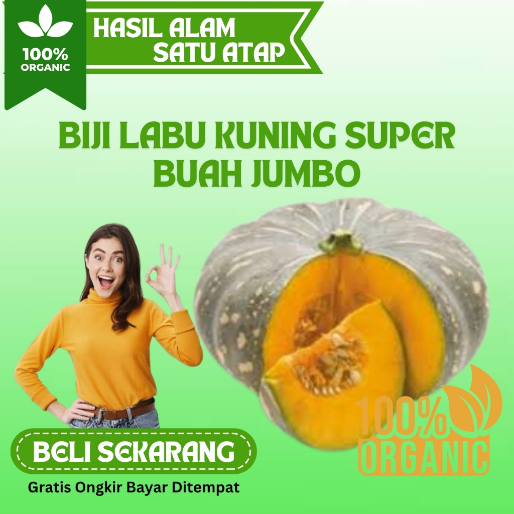 ( 10 Butir ) Benih biji labu | labu kuning | benih waluh | waluh besar | waloh kuning | Bibit Buah