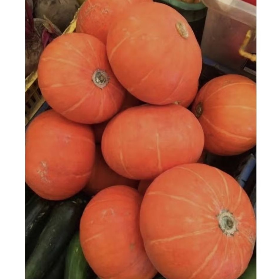 Labu Kabocha Labu Jepang Oren/Orange