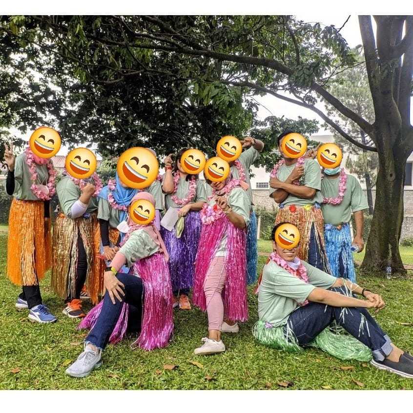 rok hawai 80 cm rumbai rumbai dari tali rafia pompom cheerleader kalung hawai