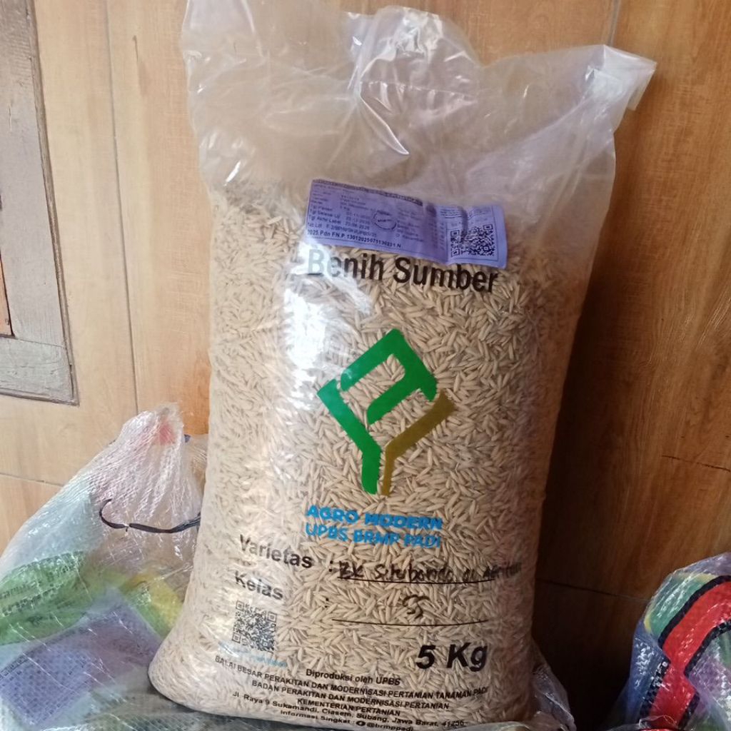 Benih padi BK Situbondo 01