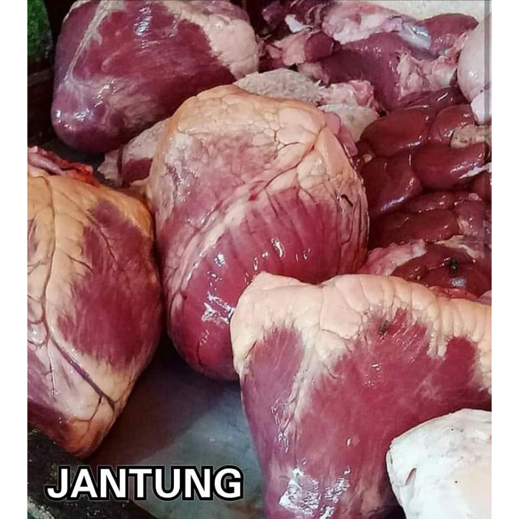 Jantung Sapi Import Halal