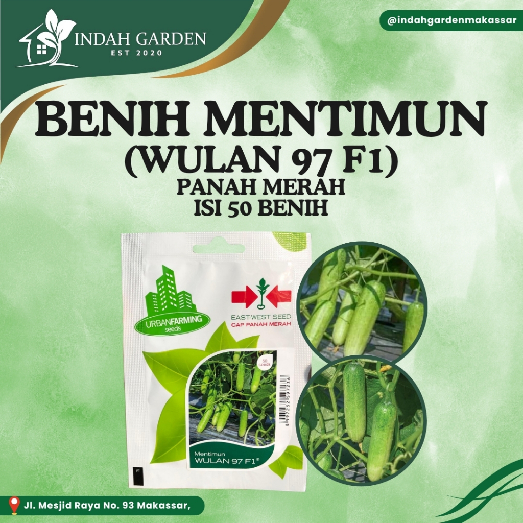 Benih Timun Wulan 97 F1 Cap Panah Merah - Baby Timun - 50 Benih