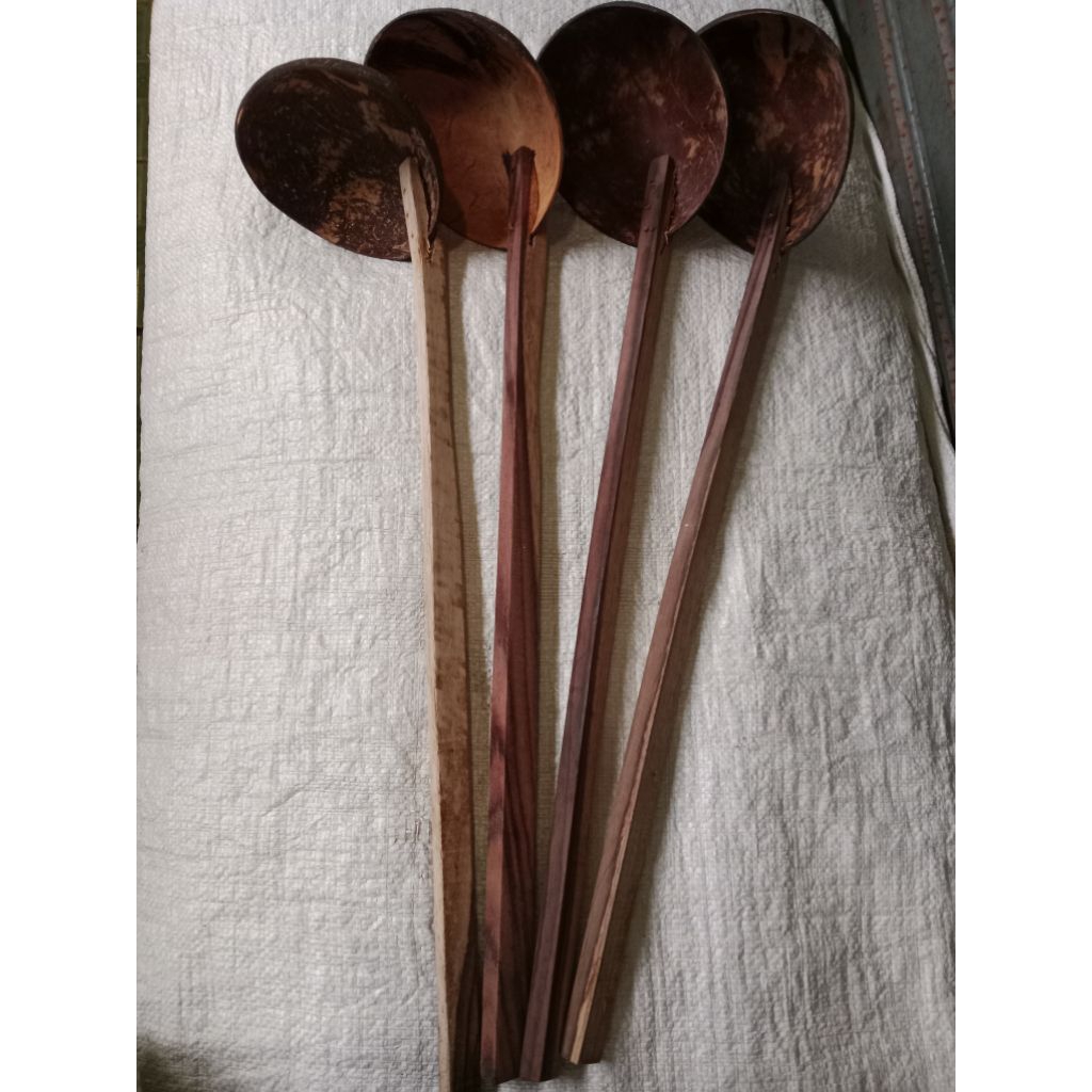 irus batok kelapa