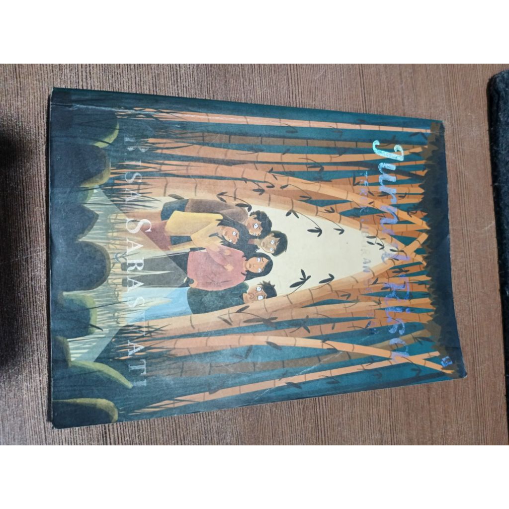 Preloved Novel Risa Saraswati