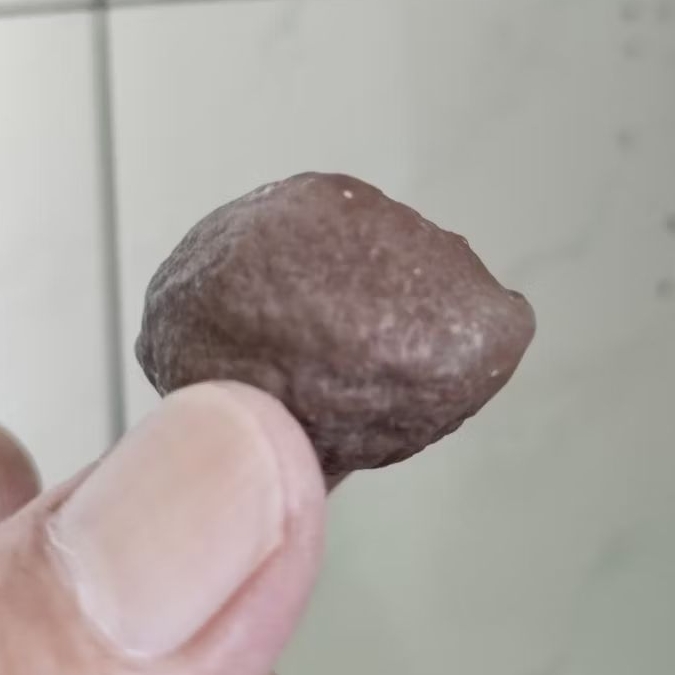 Kemiri Adu Muncang Adu Yanti Thanos Rajabatok Ori Pasangan Mewah Size Kecil