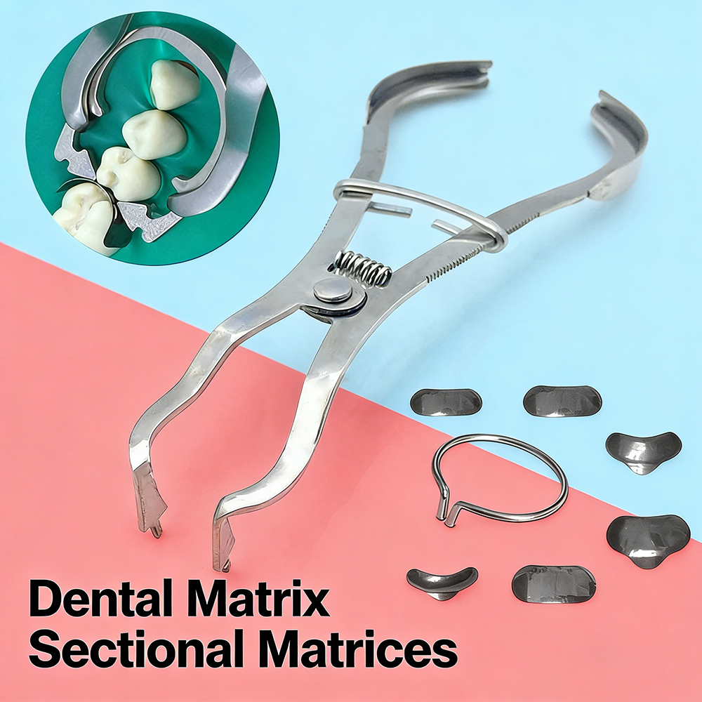 Dental matrik sectional contoured matrix metal ginjal band wedges / Tang matrix gigi /Tang matriks g
