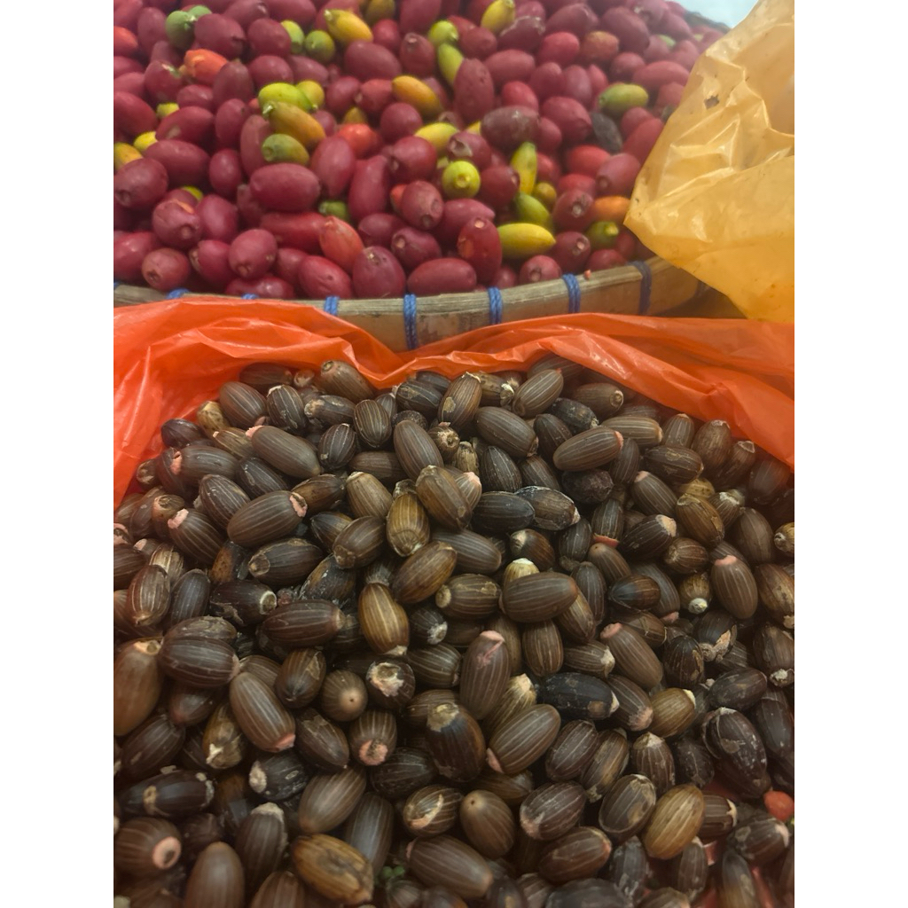 5kg melinjo/ Tangkil kupas pegunungan fresh baru kupas