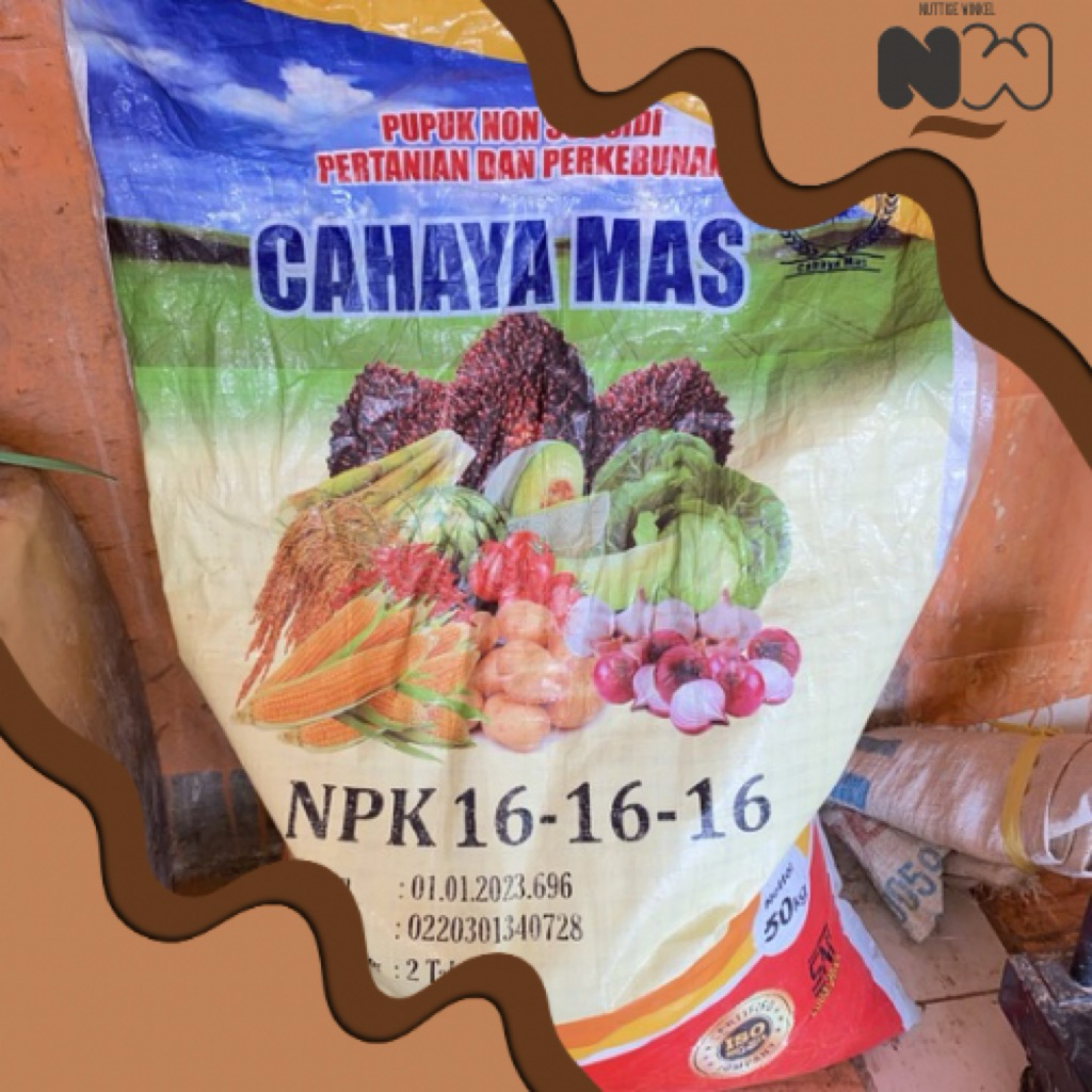 Pupuk NPK (Nitrogen, Phospat, Kalium) 16-16-16 CAHAYA MAS