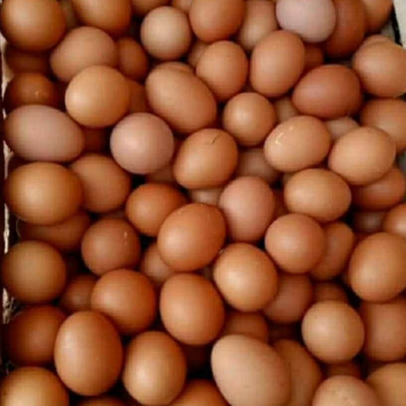 Telur Ayam 1 Kg (BANDUNG TLA)