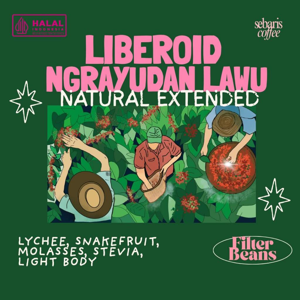 Liberoid Ngrayudan Ngawi Lawu Natural Extended | Filter Coffee Liberoid Biji Kopi 200gr Specialty Co