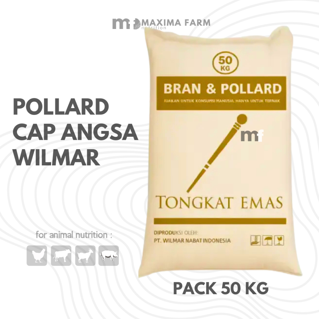 POLAR POLLARD 50kg 1ZAK GANDUM CAP TONGKAT BUKAN CAP ANGSA