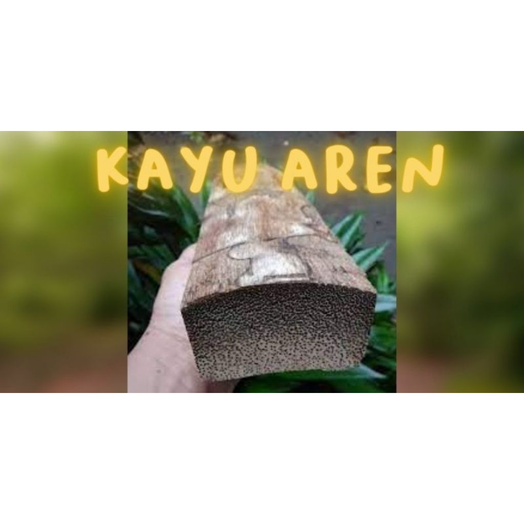 kayu aren bahan gagang pancing