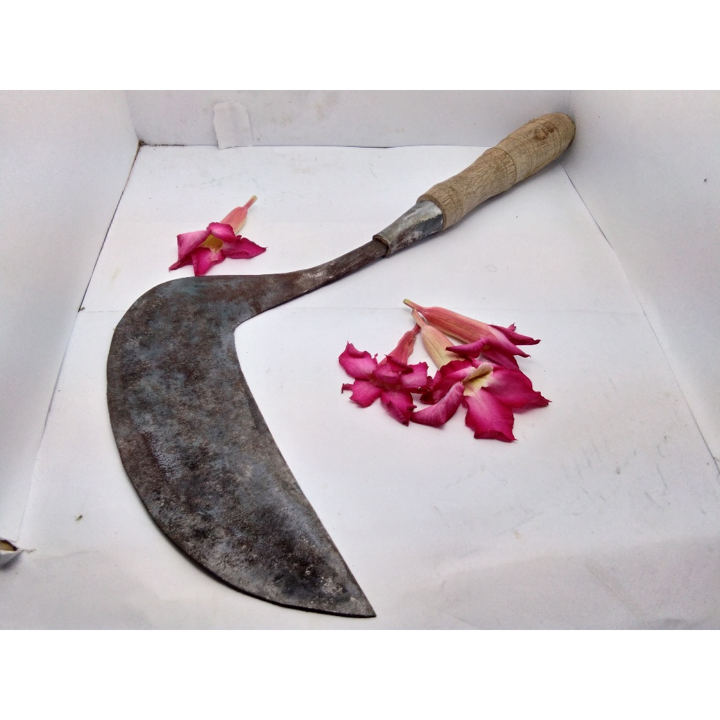Sabit Arit Besar Baja – Alat Potong Rumput Praktis