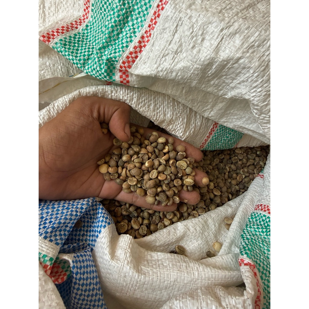ROBUSTA TORAJA