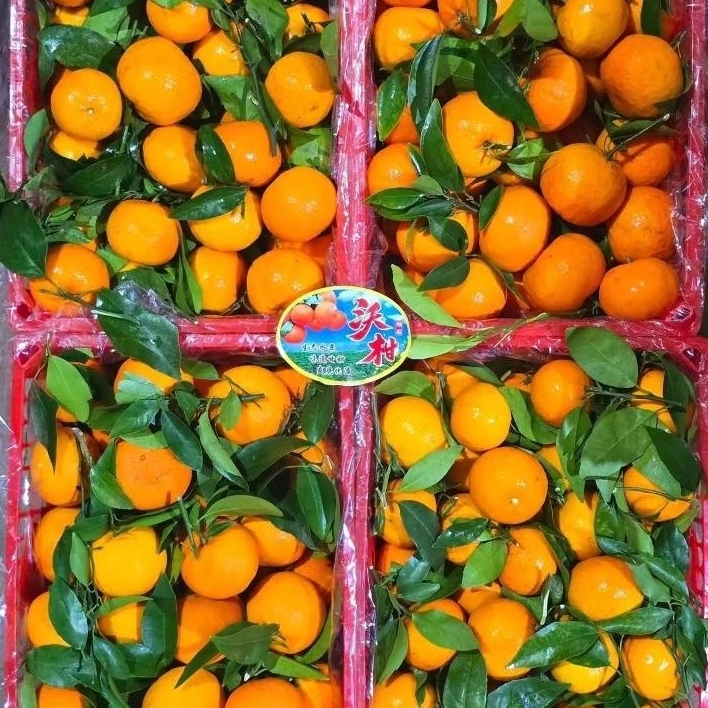 Baby Wogam 1 Krat 6kg | Jeruk Mandarin Mini Manis Segar Import - Buah Tanah Tinggi