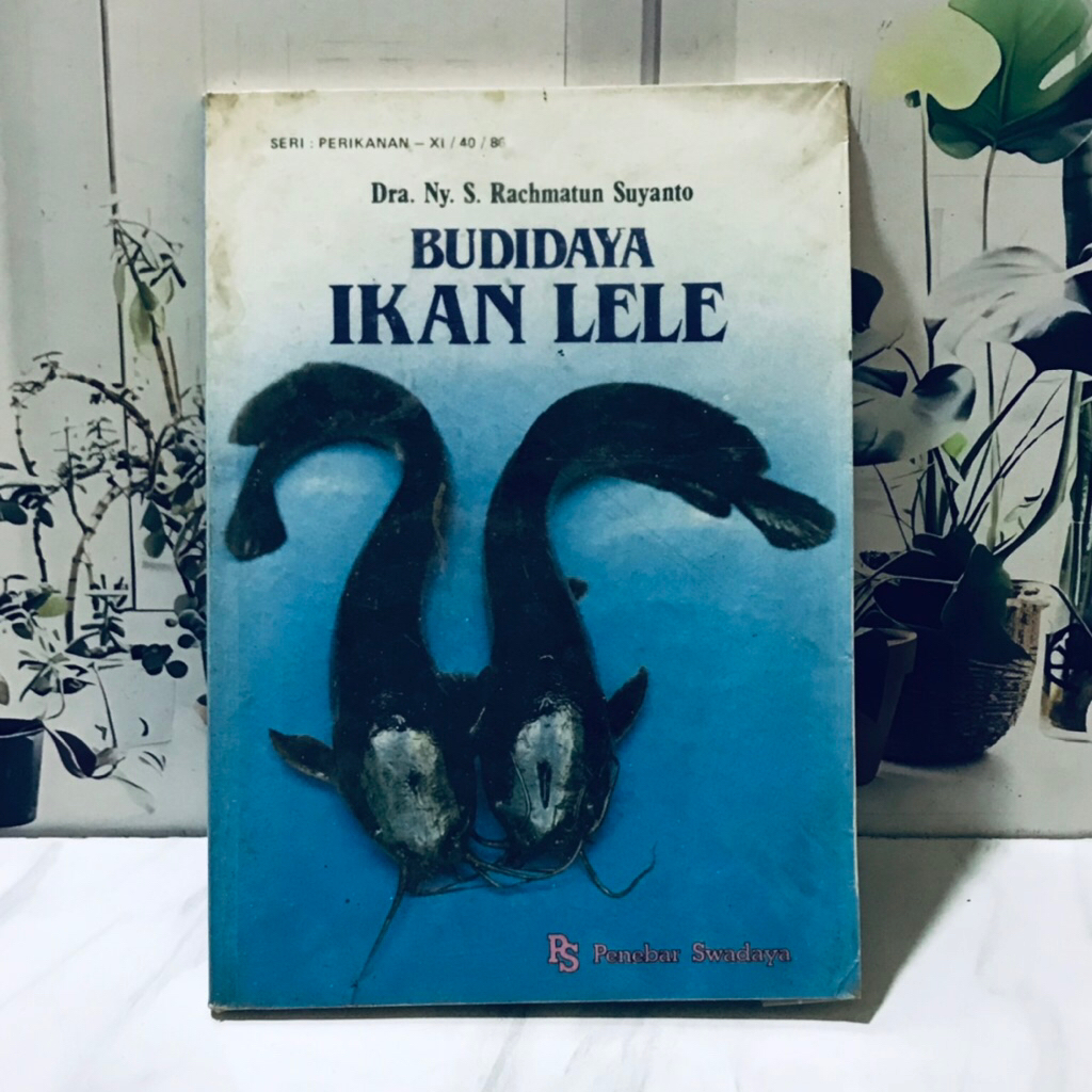 BUDIDAYA IKAN LELE