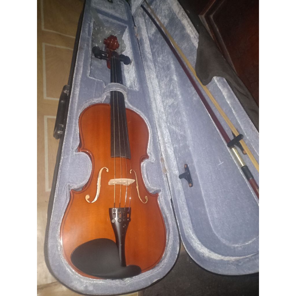 Alat musik biola