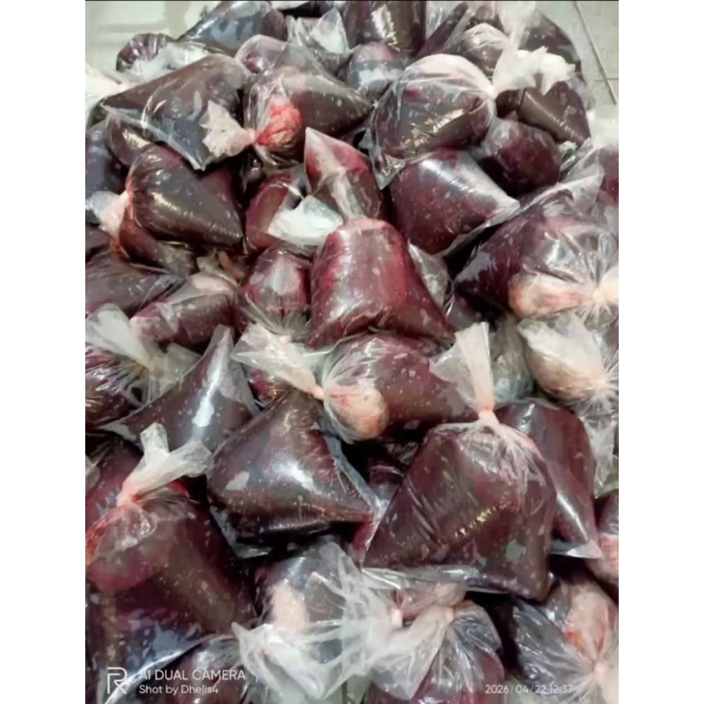 marus darah sapi untuk campuran umpan  gt lele 400gram