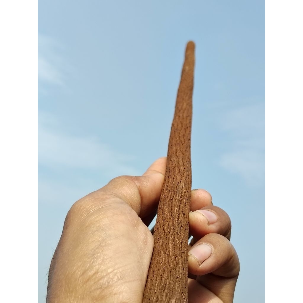 TANGKRINGAN MURAI ASEM JAWA PREMIUM