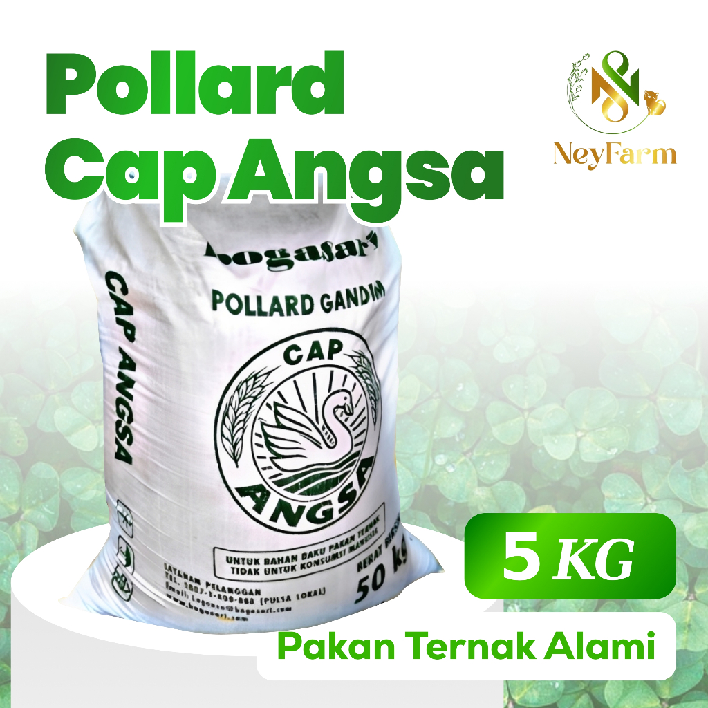 Pollard 5 kg Cap Angsa Bogasari Kemasan 5 kg Polar Makanan Ternak Pakan Ternak