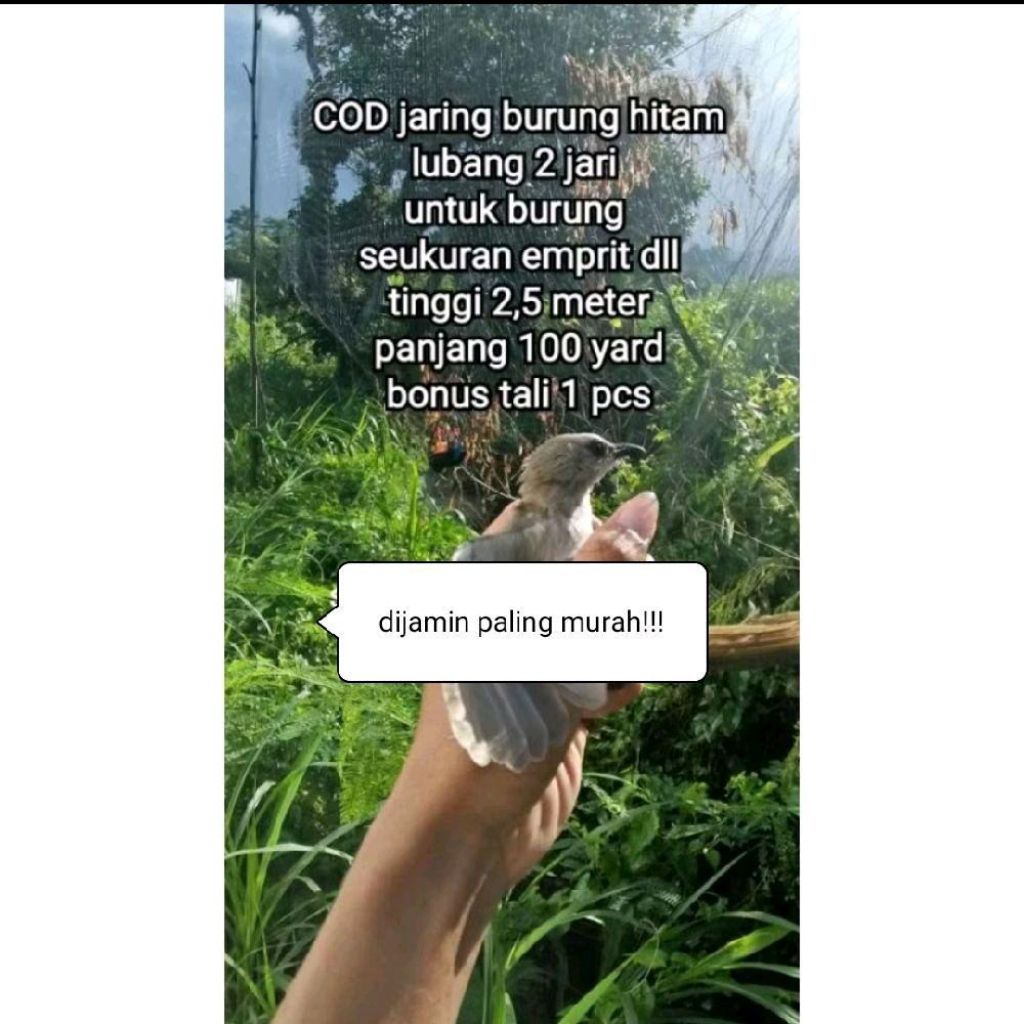 COD BONUS TALI 100 METER JARING BURUNG HITAM 2,5x90 METER JARING PIKAT BURUNG EMPRIT PIPIT BONDOL DL