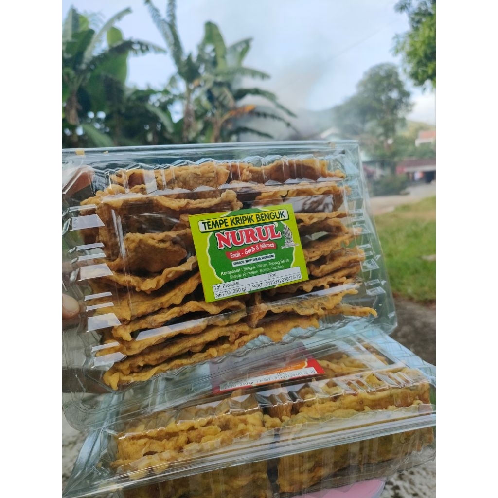 Kripik Tempe Benguk Khas Wonogiri