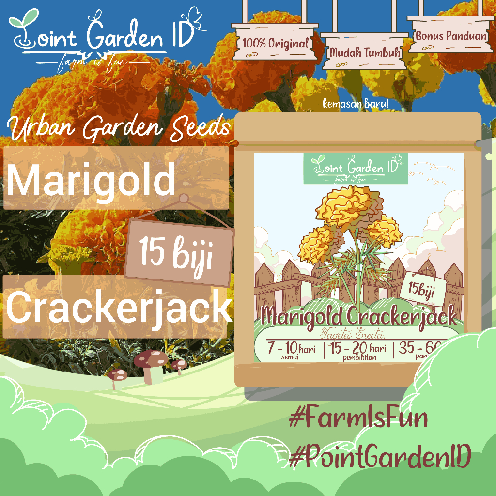 15 biji- Benih Bibit Marigold Crackerjack Afrika, bunga tai ayam SUPER, Tahan Penyakit, Benih Unggul