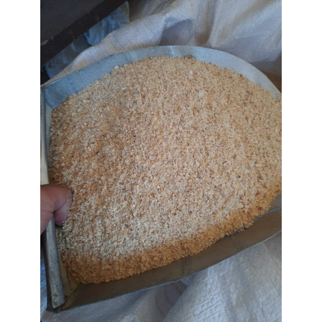 Dedak jagung | Huut Jagung | tepung jagung 500 gram campuran pakan ayam