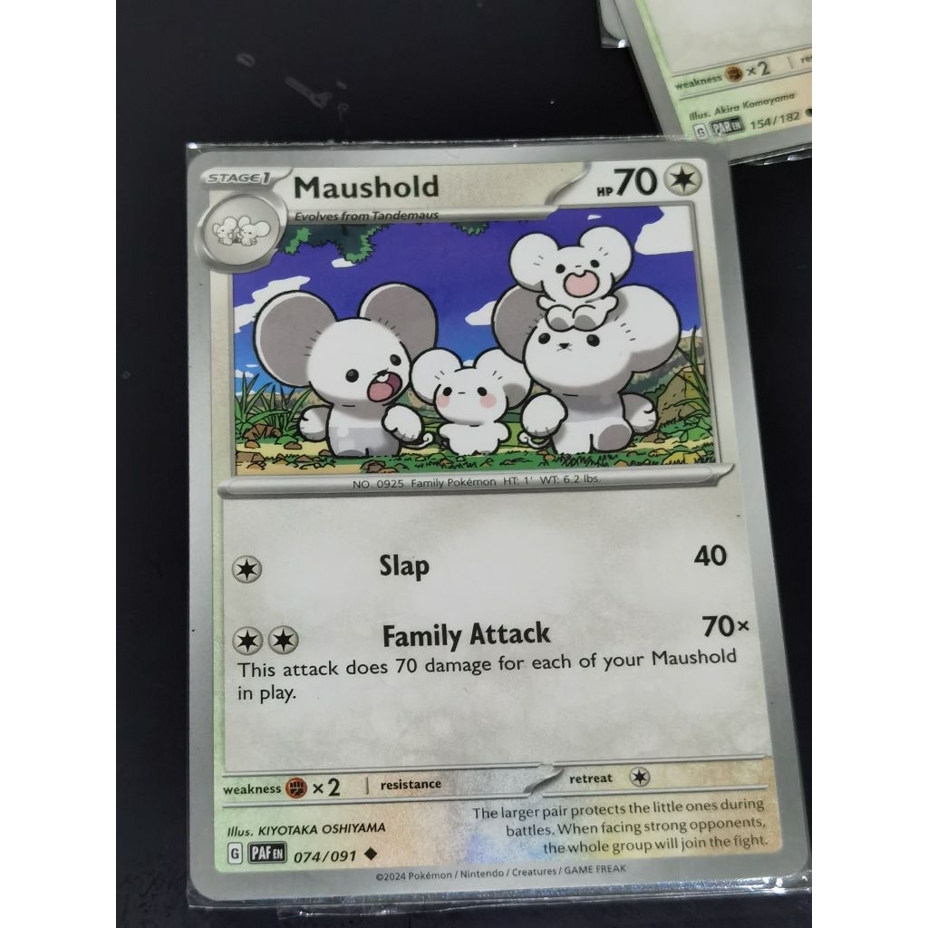 maushold PAF en 074/091 ENG