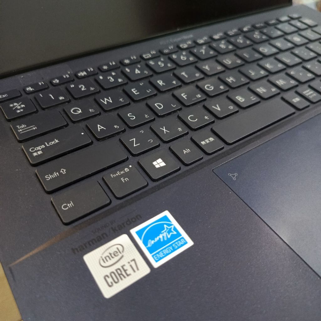Asus ExpertBook Core i7 Gen10 RAM 16GB SSD 256GB