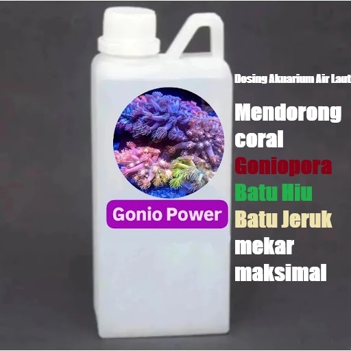 Dosing Reef Gonio Power untuk coral Goniopora, Alveopora, Batu Hiu, Batu Jeruk akuarium air laut Per