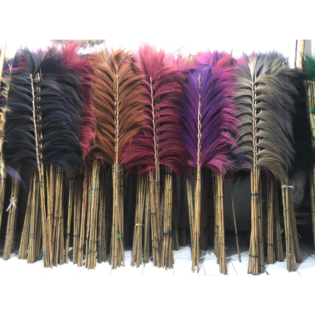Home Decor Rayung Stik Aneka Warna/ Rayung Kering 21 Tangkai FREE Bambu Ulir
