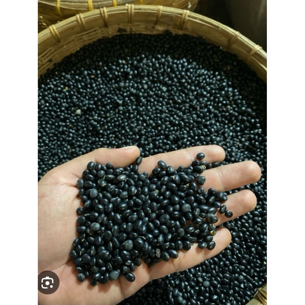 (SERBA SERIBU 1RB ) KACANG GUDE KACANG BALI KACANH KAYO SAYUR GUDE 1KG Gude KERING, kacang gude, kac
