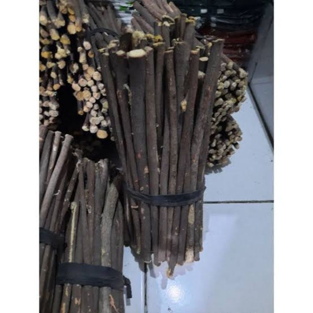 SIWAK HITAM JUMBO AKAR ZAITUN