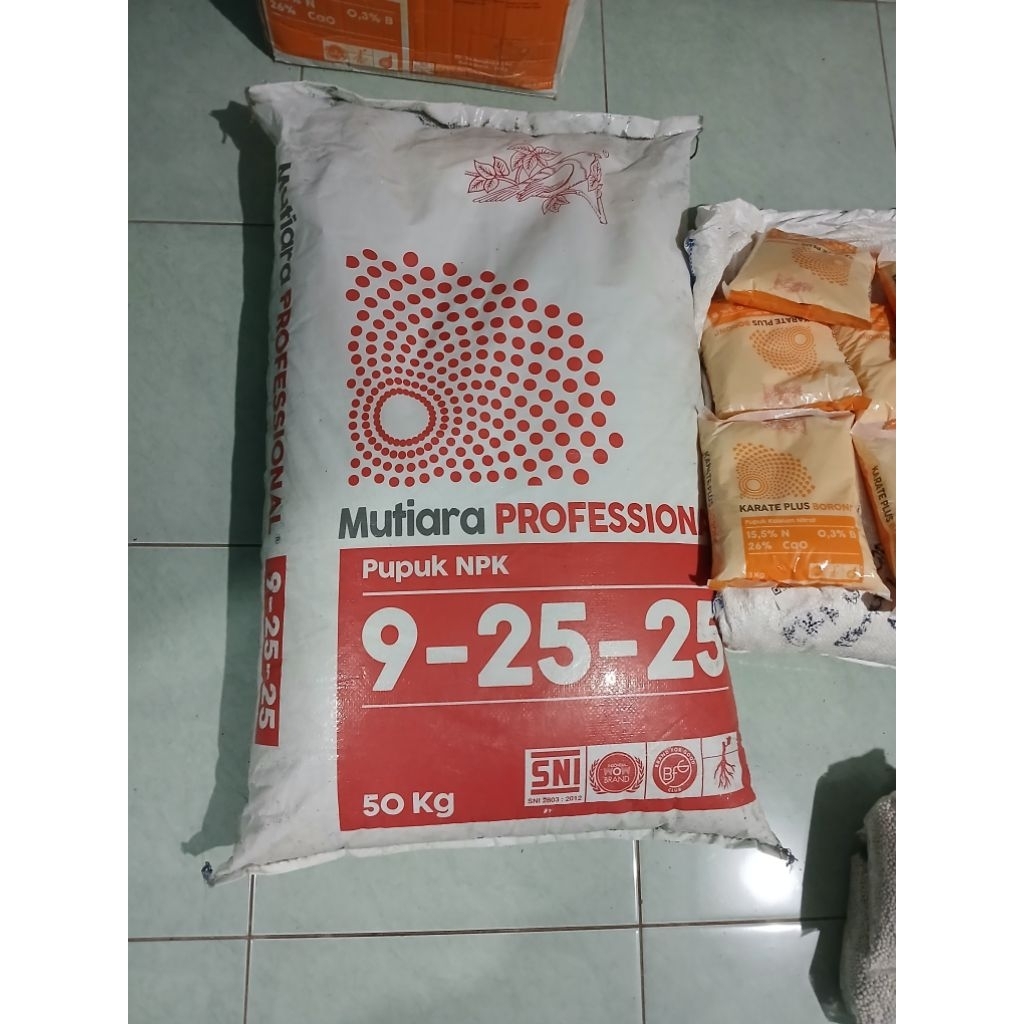 NPK Profesional 1 kg 9.25.25
