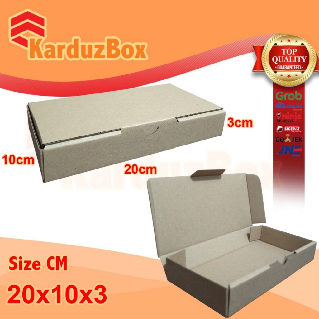 20x10x3 Box Pizza kardus packaging