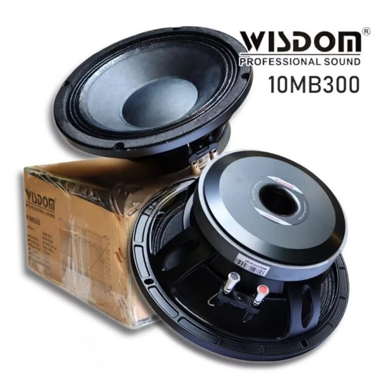 Speaker 10 inch wisdom 10MB300 component speaker wisdom