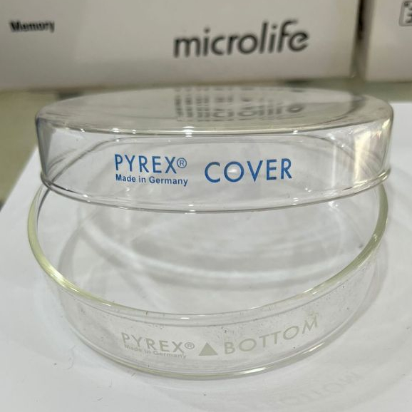 Cawan Petri 100x20 Pyrex