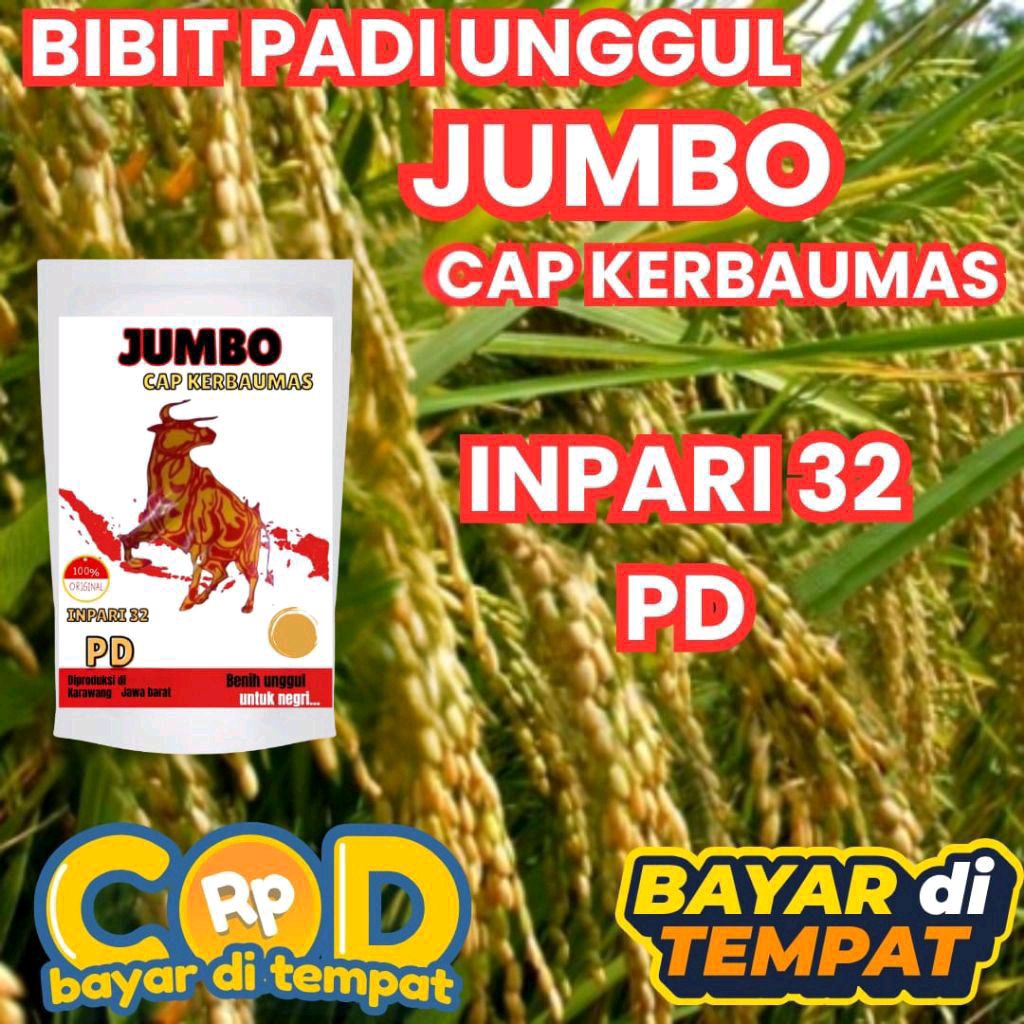 (5KG)BENIH BIBIT PADI PD JUMBO INPARI 32 CAP KERBAU MAS COD