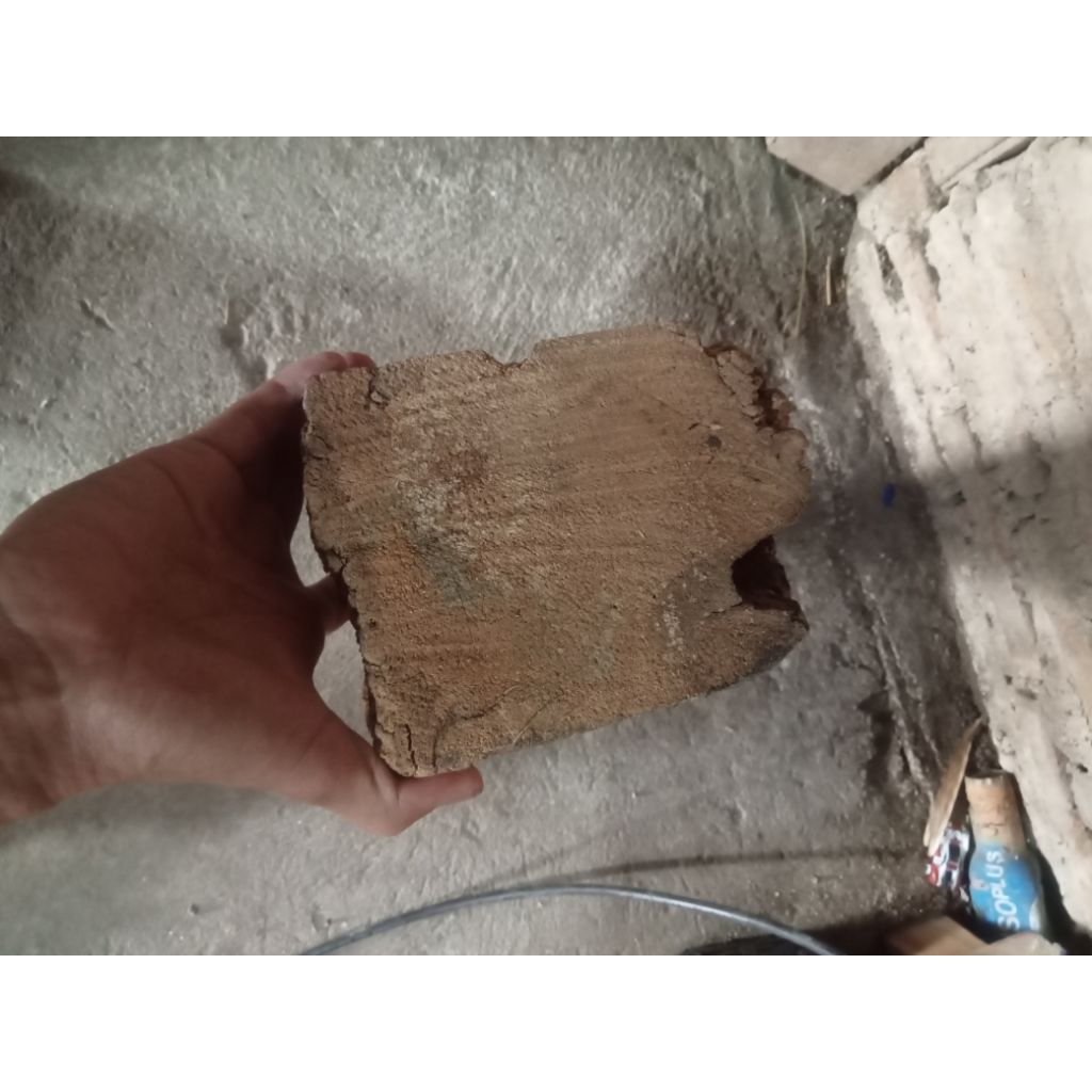 kayu ringin sepoh panembahan senopati