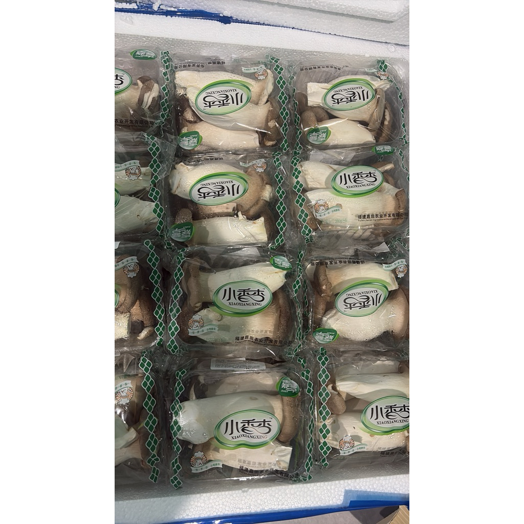 jamur king oyster