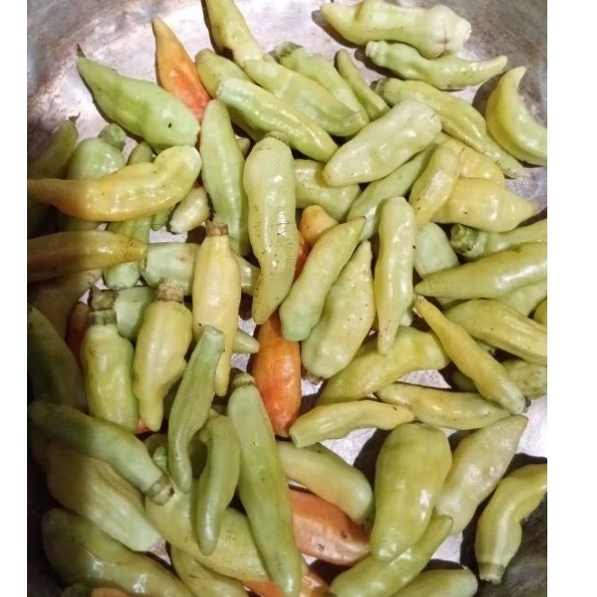 Cabai Rawit Lombok Pedas Segar 1kg