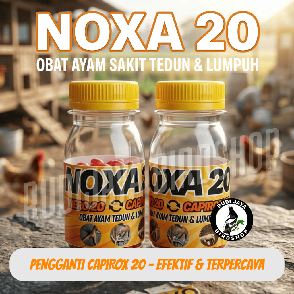 NOXA 20 NERO 20 PENGGANTI CAPIROX 20 OBAT AYAM SAKIT KAKI TURUN URAT KAKI LUMPUH BENGKAK URAT TEDUN