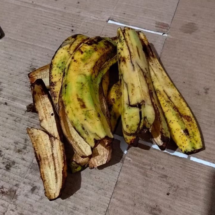kulit pisang candi segar sampai layu 1kg