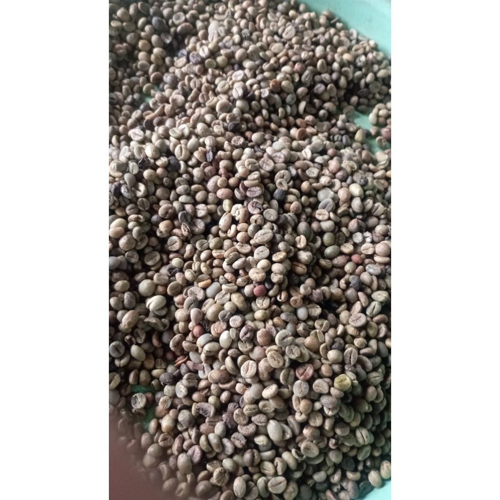 Jual Kopi Robusta Asalan Khas Lampung