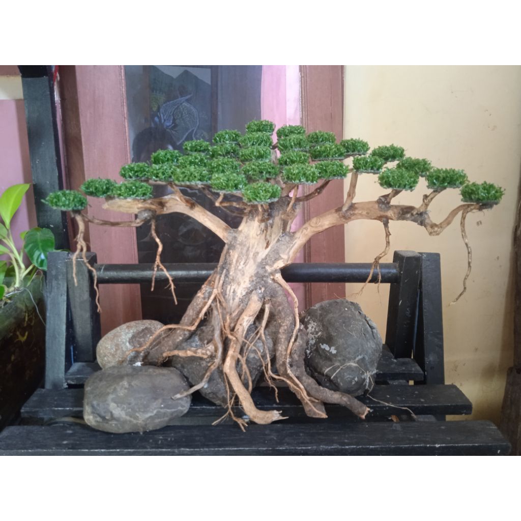 bonsai sintetis