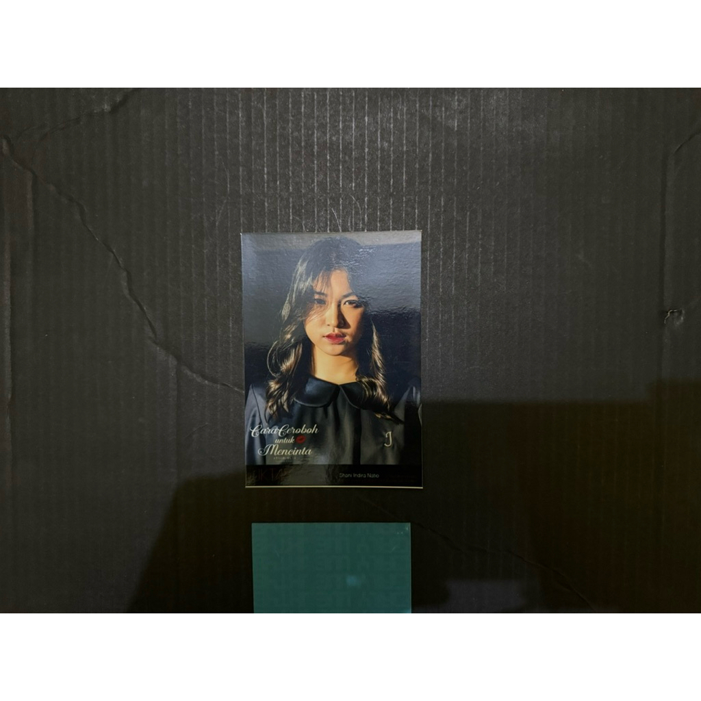 Photopack Darashinai Aishikata Shani JKT48