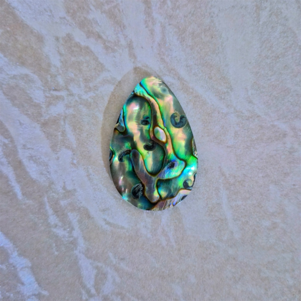 Páua Abalone Shell Pendant Abalone Tile Kerang Abalon Kulit Abalon Kulit Kerang Abalon Paua Abalone