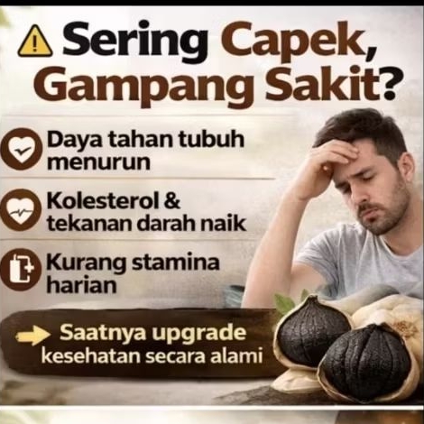 BLACK GARLIC / BAWANG HITAM / BAWANG TUNGGAL